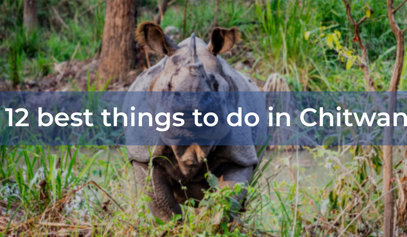 12 best things to do in Chitwan 